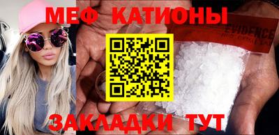прущие грибы Донской