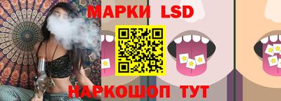 прущие грибы Донской