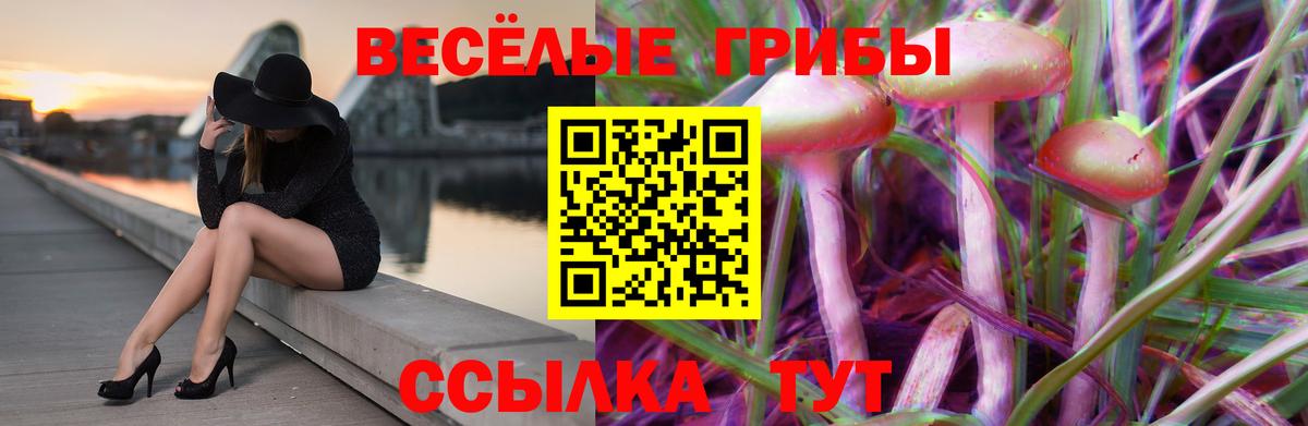 Галлюциногенные грибы Cubensis  Вход с VPN  Майкоп  Псилоцибиновые грибы Psilocybe 